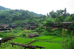 會同網站建設