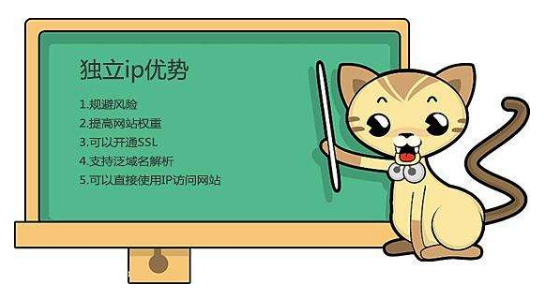 虛擬主機(jī)有獨(dú)立IP嗎？